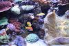 Tank Tour-032-Paul_03 (Custom).JPG