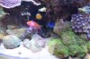 Tank Tour-033-Paul_04 (Custom).JPG
