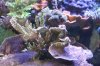 Tank Tour-055-Paul_26 (Custom).JPG
