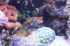 Tank Tour-063-Paul_34 (Custom).JPG