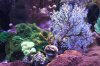 Tank Tour-068-Paul_39 (Custom).JPG