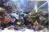 Tank Tour-075-Paul_46 (Custom).JPG