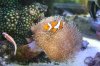 Tank Tour-082-Paul_53 (Custom).JPG