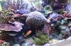 Tank Tour-094-Paul_65 (Custom).JPG