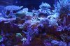 Tank Tour-105-Liam_04 (Custom).JPG