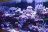 Tank Tour-111-Liam_10 (Custom).JPG