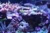 Tank Tour-112-Liam_11 (Custom).JPG