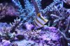 Tank Tour-116-Liam_15 (Custom).JPG