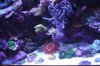 Tank Tour-120-Liam_19 (Custom).JPG