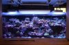 Tank Tour-121-Liam_20 (Custom).JPG