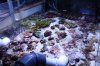 Tank Tour-130-Liam_29 (Custom).JPG
