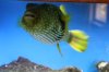 Tank Tour-139-Kevin_01 (Custom).JPG
