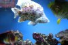 Tank Tour-141-Kevin_03 (Custom).JPG