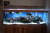 Tank Tour-143-Kevin_05 (Custom).JPG