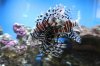 Tank Tour-149-Kevin_11 (Custom).JPG