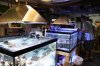 Tank Tour-154-Kevin_16 (Custom).JPG