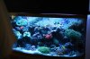 Tank Tour-158-Kevin_20 (Custom).JPG