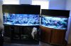 Tank Tour-159-Kevin_21 (Custom).JPG