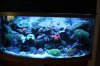Tank Tour-160-Kevin_22 (Custom).JPG