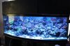 Tank Tour-161-Kevin_23 (Custom).JPG