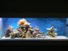 Tank Display.jpg