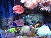 IMG_2445.jpg