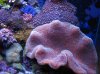 IMG_2440.jpg