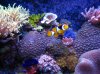 IMG_2446.jpg