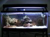 tank 001.jpg