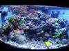 FTS-2.jpg