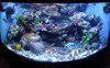 FTS.jpg