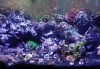 frag-FTS2.jpg