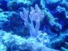 DSC00384.jpg