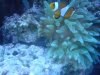 DSC00354.jpg