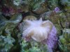 DSC00388.jpg