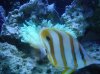 DSC00374.jpg