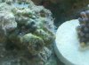 IMG_20110215_151253.jpg