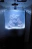 DSC01777.JPG