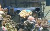 DSCN3558.jpg