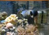 DSCN3559.jpg