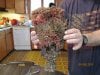 pipeorgan2.jpg