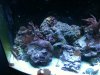 5-2-11 004.jpg