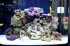 DSC_0014-2.jpg