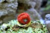 DSC_0006-2.jpg