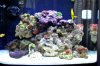 DSC_0014-2.jpg