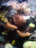 100_1682.JPG