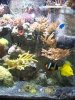 100_1684.JPG