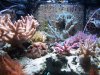 100_1686.JPG