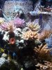 100_1687.JPG