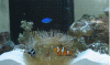 IMG_2631n.GIF